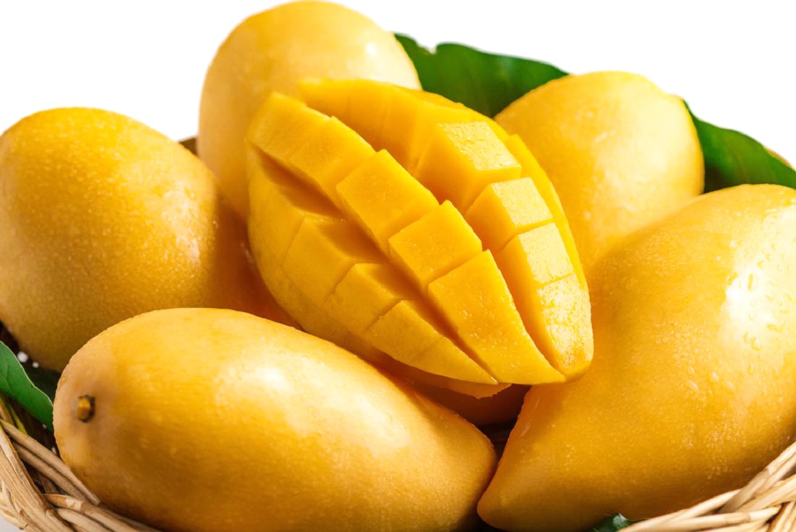 SPA- программа «Солнечное манго»